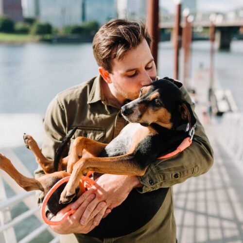 Comment un Chien Attrape des Puces : Comprendre et Prévenir l’Infestation